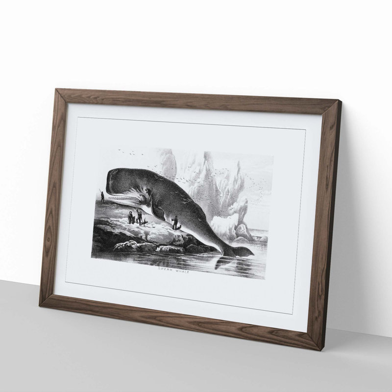 Hunted Sperm Whale by John Karst - Framed Print, Walnut Framed, 27cm H x 36cm W x 2cm D