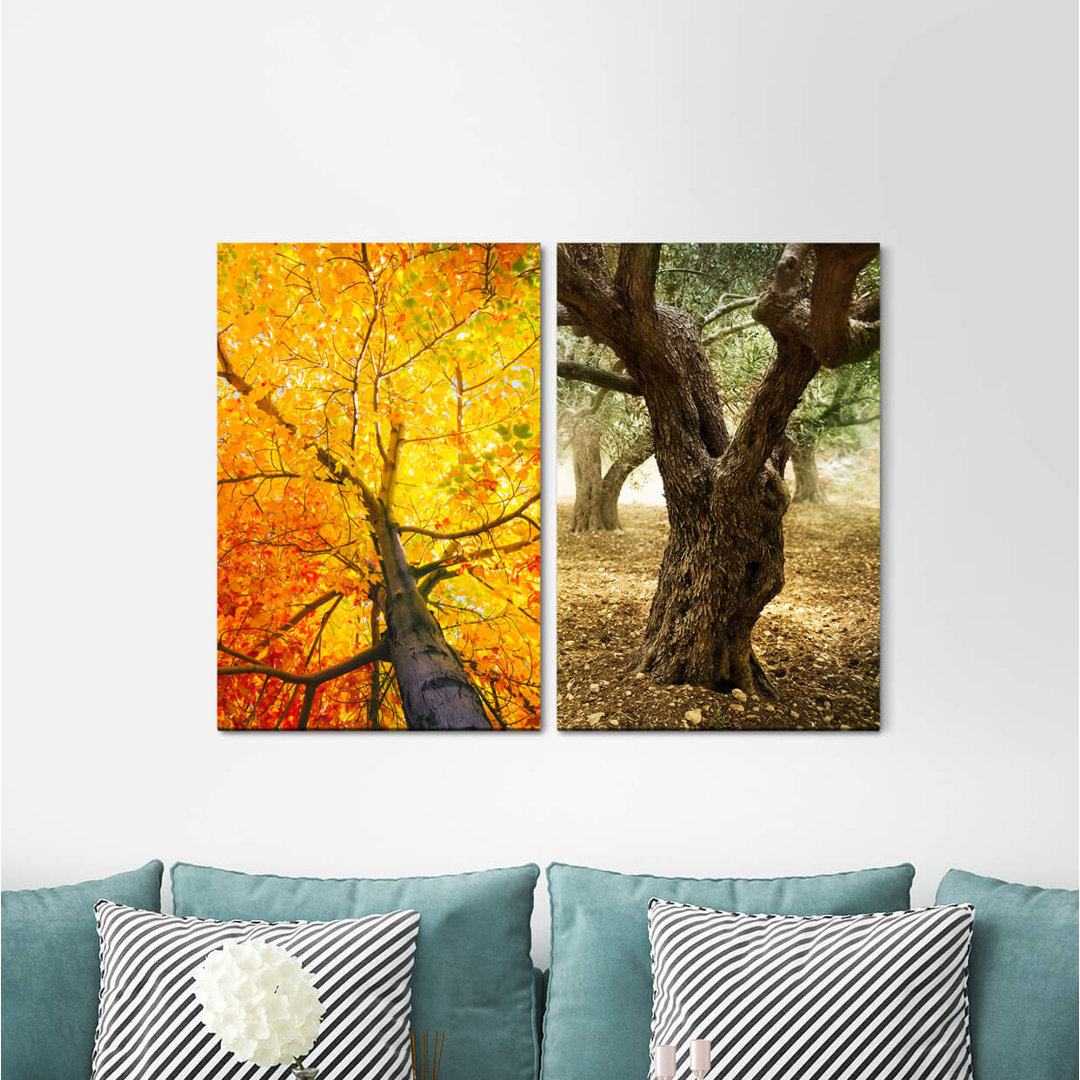 2-tlg. Leinwandbilder-Set - Fotografie „Tree Crown Autumn Golden Warm Light Beech Positive Energy”