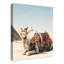 «Boho Camel with Distressing», reproduction de photo sur toile tendue