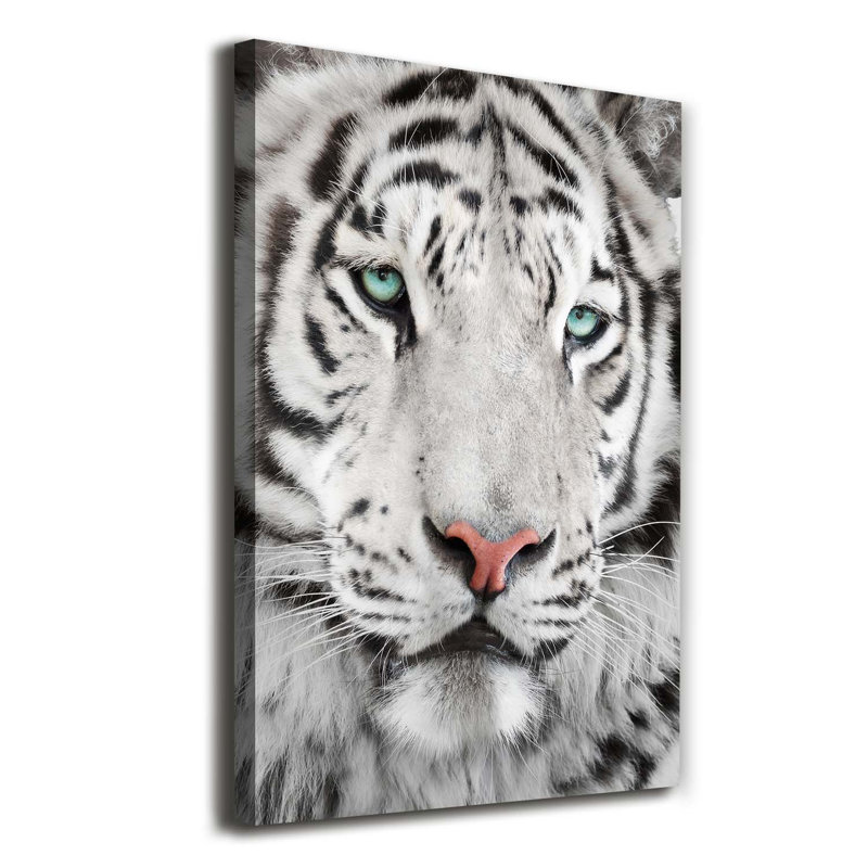 White Tiger - Wrapped Canvas Print