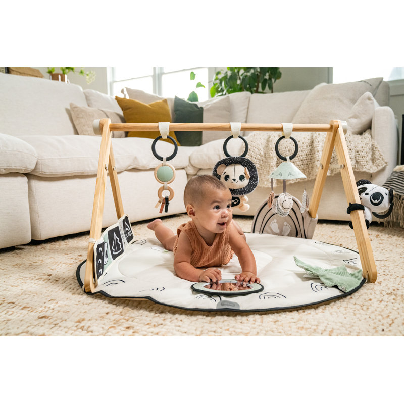Gymini de développement Tiny Love Luxe