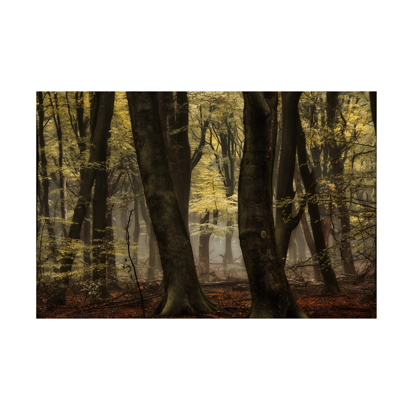 Art sur toile Lars Van De Hidden Beauty, H 22 po x l 32 po