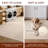 Elion Modern Machine Washable Cream Area Rug-1979999016-1979999019