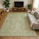 Premium Machine Washable Honig AMF1659 Damask Rug
