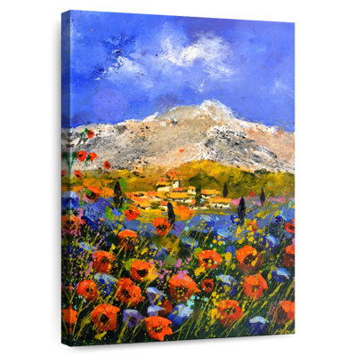 Alvord, coquelicots rouges, été, Provence