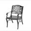 Chaise avec accoudoirs Phoenix (ensemble de 2)-1219849638
