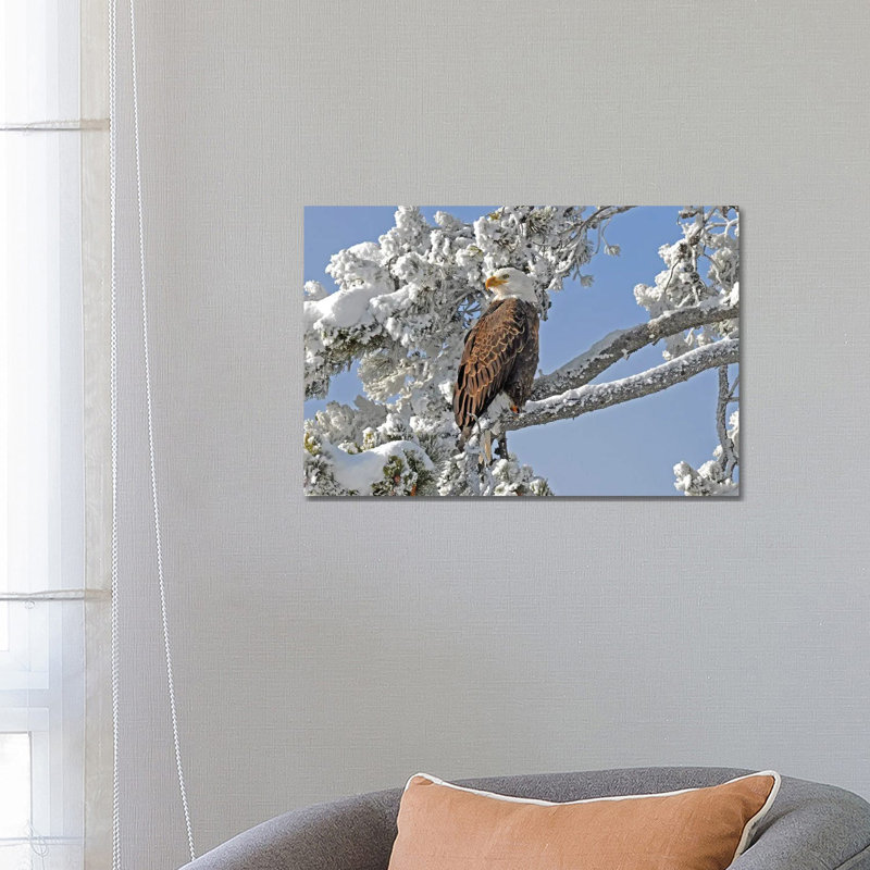 Winter Eagle - Yellowstone by Brian Wolf - Wrapped Canvas Print, 45.72cm H x 66.04cm W