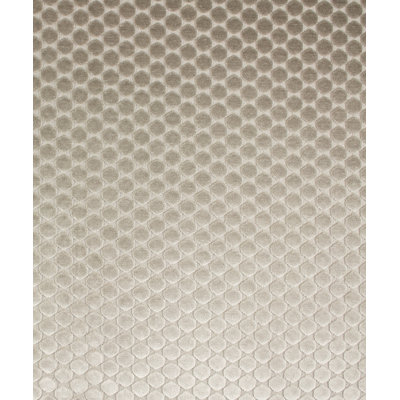 Newman Fabric