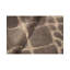 Animal Print Area Rug in Brown