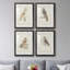 Barn Owl - ensemble de 4 reproductions de cadres photo-868360941-868360935