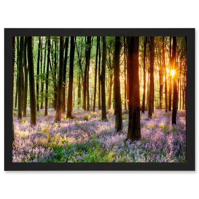 Bluebell Wood Sunrise Trees - Single Picture Frame Print