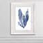 « algues under water iv »-cadre photo imprimé sur verre-302776087-302776093
