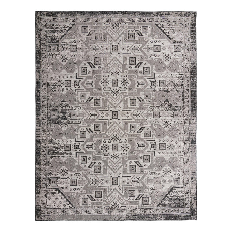 Alucard Indoor / Outdoor Rug, Rectangle 10' x 13'