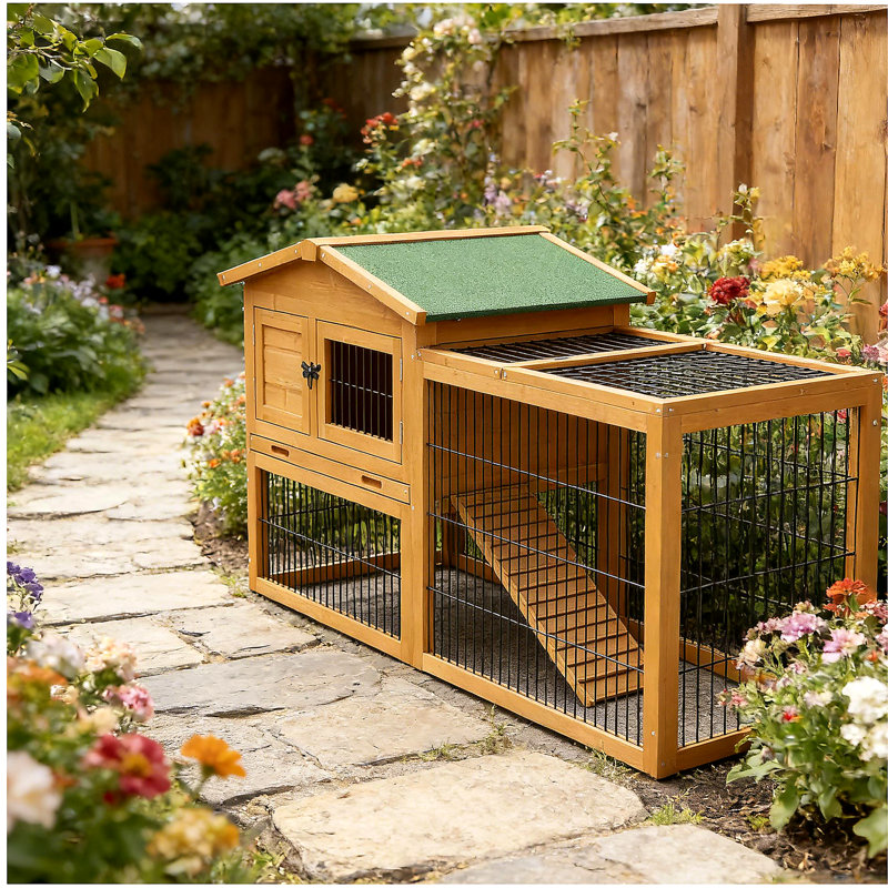 Niche pour animaux d'extérieur, clapier à lapin, Jaune