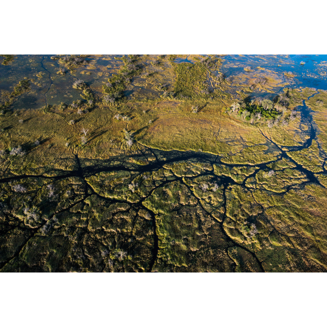 Okavango Delta von Steveisonholiday - Kunstdrucke auf Leinwand