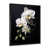 Black Single Picture Framed