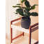 Aldaco 32cm W Solid Wood Shelving Unit