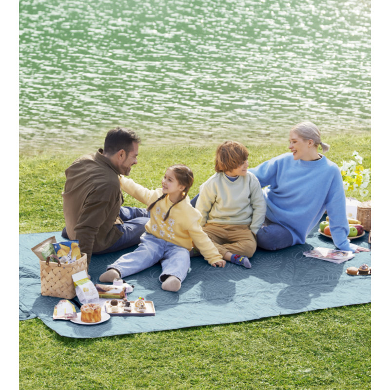 200x200cm Polyester Picnic Blanket, Blue