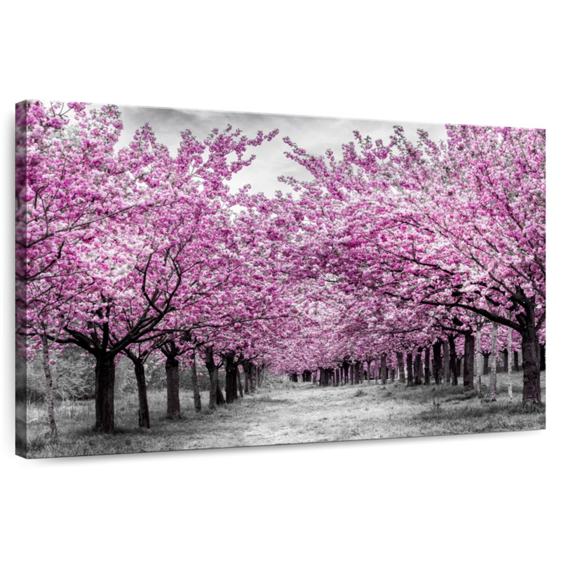 Harnek, belle allée de cerisiers en fleurs, H 26 po x l 39 po