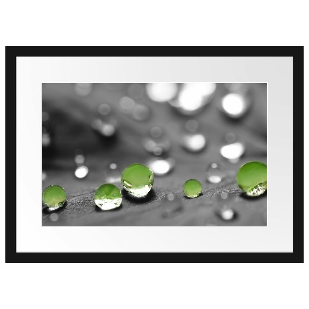 Gerahmtes Poster Wassertropfen auf Blatt