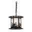 Luminaire suspendu de style lanterne noire à 1 lumière Haydel