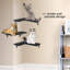 Bhudevi 3 Piece Floating Shelf