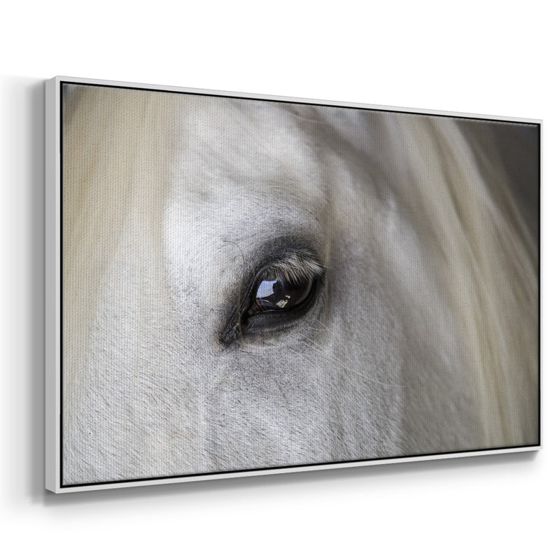 Balearic Island Horse, peinture sur toile encadrée, Cadre blanc, H 27 po x l 41 po x P 2 po