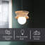 Luminaire suspendu à 1 lumière Kali