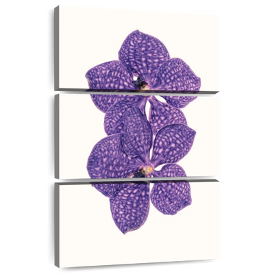 Harnek Curious Collections Flower VI