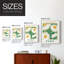 Matisse XVII, reproduction encadrée - bois massif-788809655-788809647