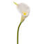 Tige de lis Calla 28 po Real Touch 