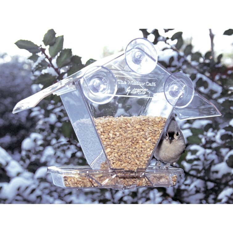 Mangeoire transparente fenêtre - Mangeoire pour oiseaux sauvages