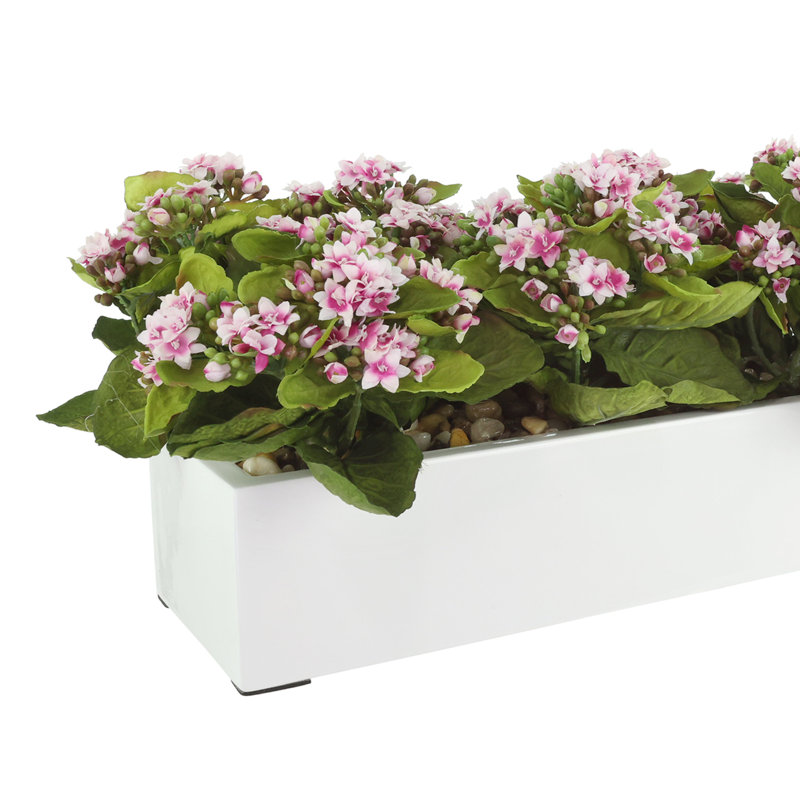 Kalanchoe Arrangement in Fiberstone Planter, Purple/White, 9.5" H x 23" W x 9.5" D