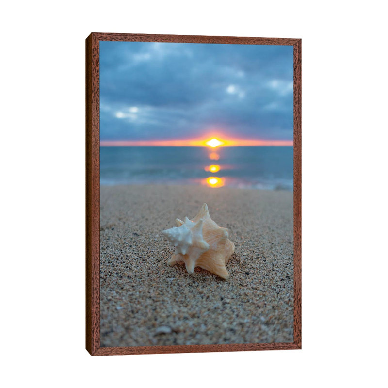 Pastel Shell Dawn Vert by Sean Davey - Print on Canvas, 66.04cm H x 45.72cm W x 3.81cm D, Classic Brown Wood Floater Framed