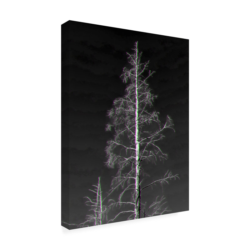 Œuvre sur toile, Cole Kent Flora, H 47 po x l 35 po