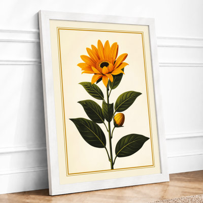 Single Sunflower Study Botanical - Print