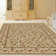 Oriental Indoor Rug