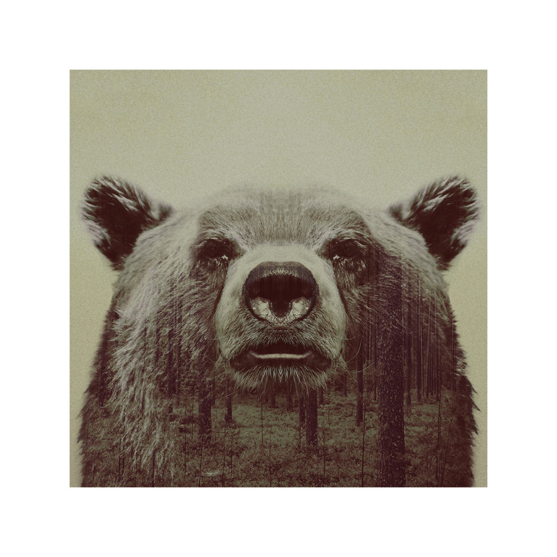 Bear II by Andreas Lie - Wrapped Canvas Print, 45.72 cm H x 45.72 cm W x 1.91 cm D