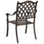 Patio Dining Armchair-499418937