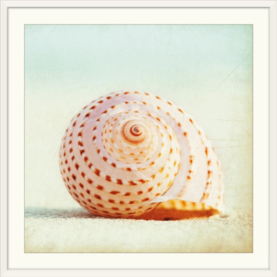 Matta " Seashell Voices " by Carolyn Cochrane
