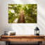 Arbres Harnek Waipoua Kauri-106848635