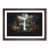 Walnut Framed selected