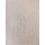 Paani Hand Loomed Area Rug in Ivory-1427666311