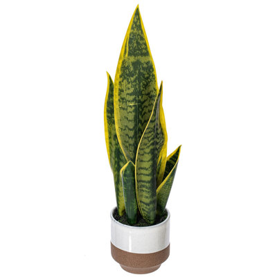 Faux Snake Plant Plant in Ceramic Pot