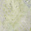 Tapis Dream Shag ADS744 de qualité supérieure, lavable à la machine et à motif floral-1347658370-1347658373