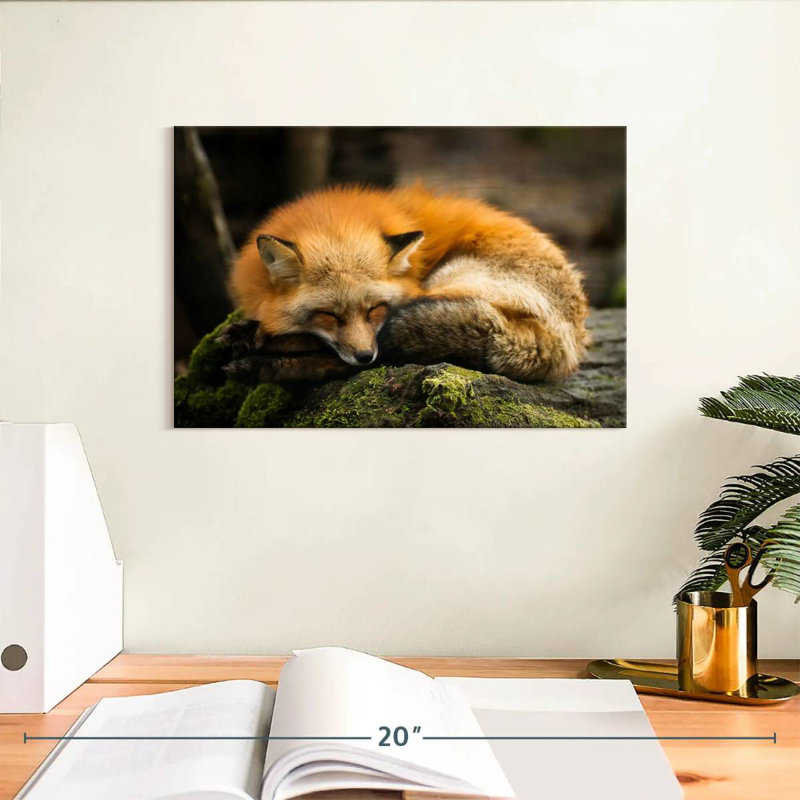 Renard jaune endormi, H 8 po x l 12 po