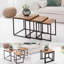 Aaila Sled Nesting Tables