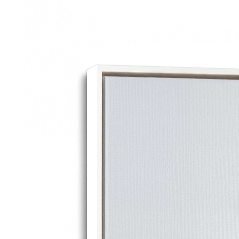 Impression sur toile Barren Beauty, Cadre flottant blanc opaque, H 12,75 po x l 8,75 po x P 1,75 po