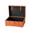 The Sorority College Dorm Trunk-94798671