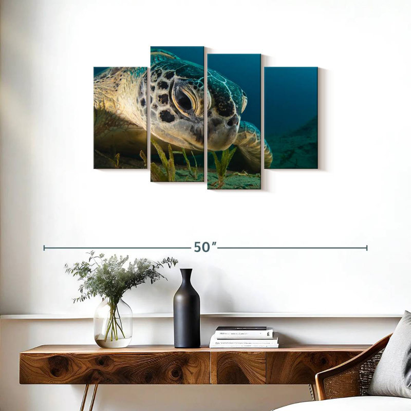 Brampt Sea Turtle Close Up, 22" H x 36" W